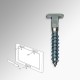 Anti-theft / Security 'T-screw' (Pack of 100)