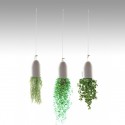 "Double Loop" Plant Hanging Kits