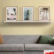 Floating Gallery Shelf (Metal Picture Shelving)