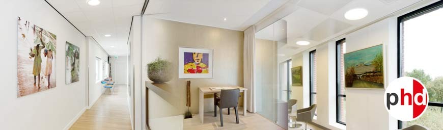 Picture Hanging (Ceiling Gallery Systems)